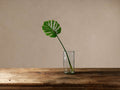 A vibrant green faux split leaf philodendron stem in a clear glass vase on a rustic wooden table, beige wall background.