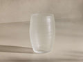 Frosted clear vase with subtle horizontal and vertical lines creating a delicate grid pattern, standing upright.