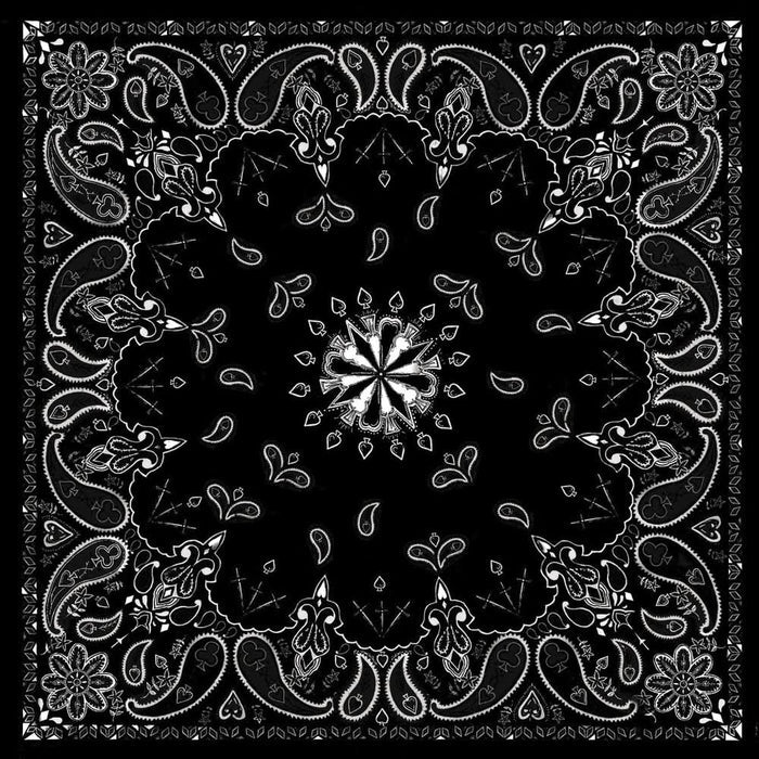 B001 Bandanna Black Paisley