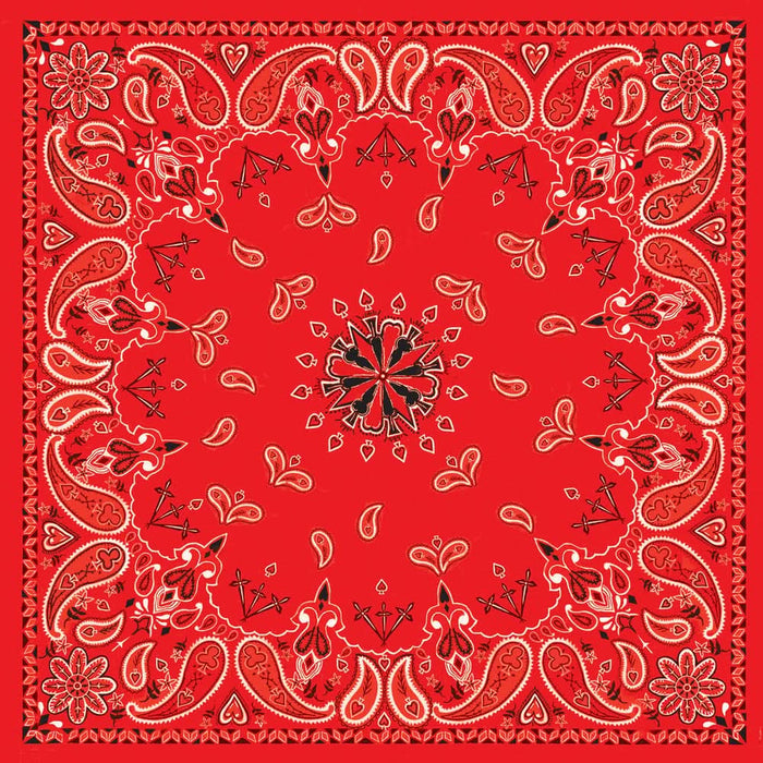B003 Bandanna Red Paisley