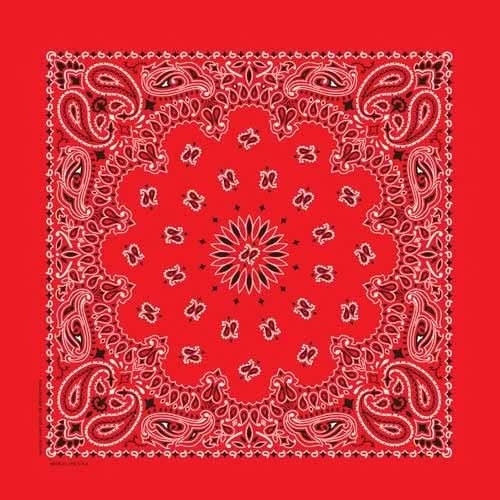 BD2500 Bandana Paisley Red
