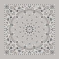 BD2502 Bandana Paisley Silver