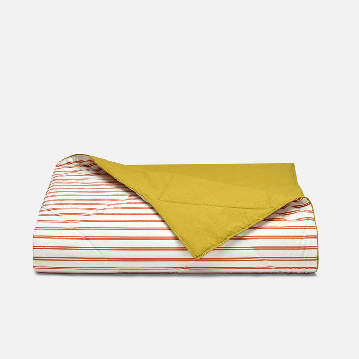 PDP2 Option[Tandem Stripe in Persimmon] MAIN