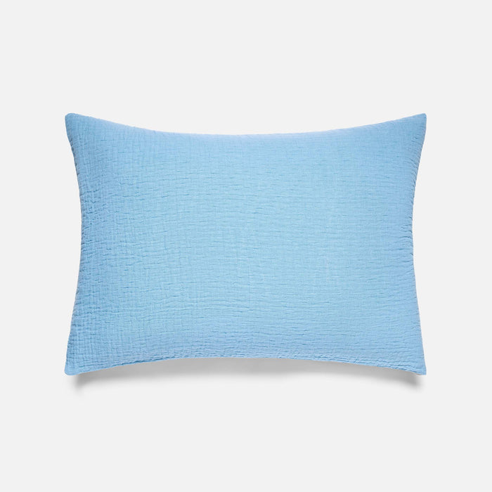 Cerulean / Standard