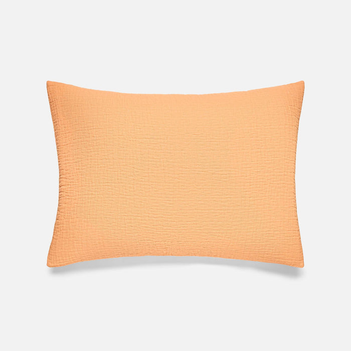 Apricot / Standard
