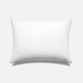White / Standard