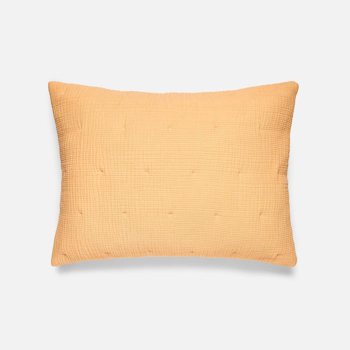 Apricot Two Tone / Standard