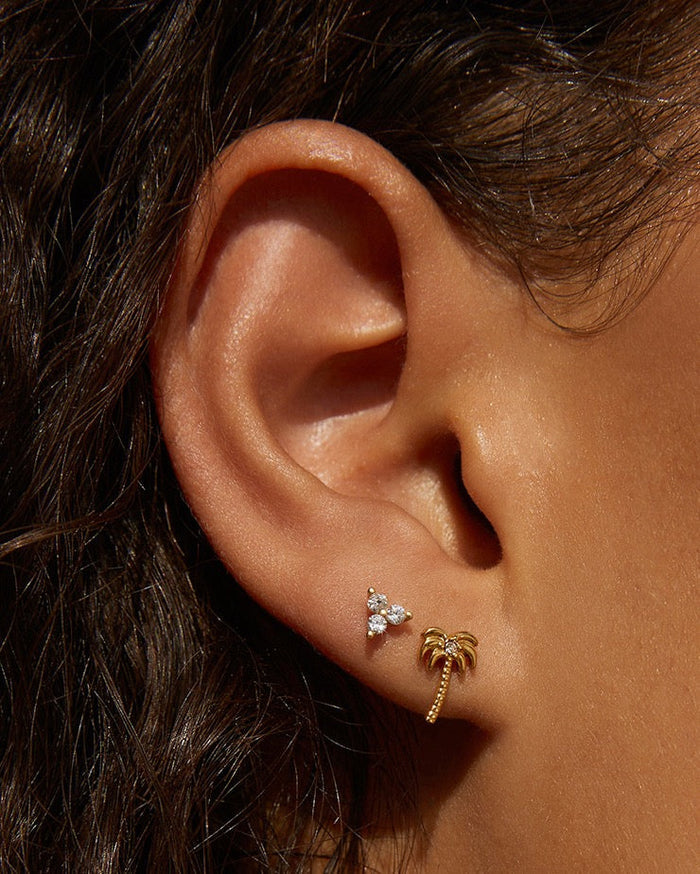 Cassia Gold Stud Earrings