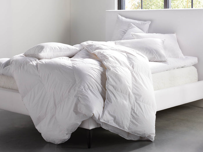 Chamber Pillow Insert on a neatly made bed with a white duvet, surrounded by other pillows, in a bright room with soft lighting.