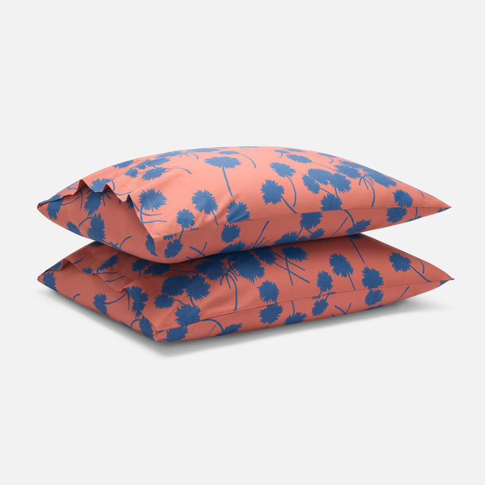 Dandelions in Warm Terracotta / Standard