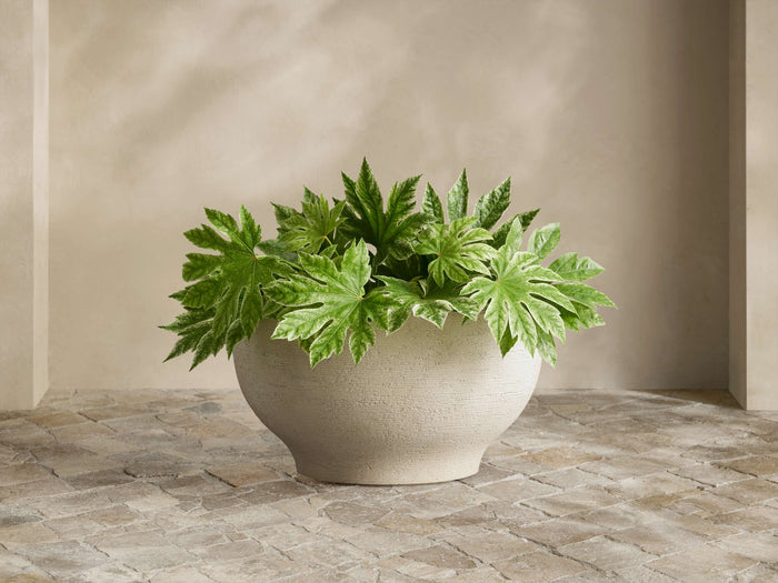 Como Outdoor Planter, round textured pumice-colored, filled with vibrant green variegated plant, on stone tile.