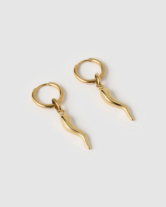 Cornicello Gold Charm Earrings - Large