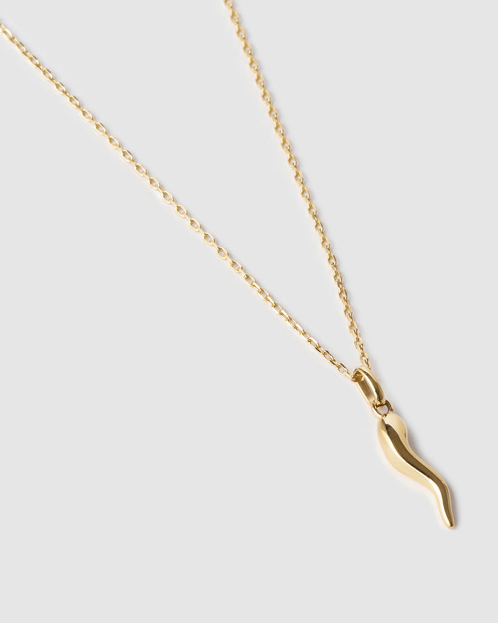 Cornicello Gold Charm Necklace - Large