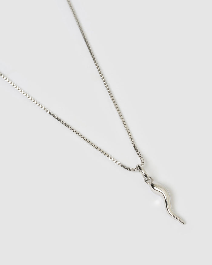Cornicello Silver Charm Necklace