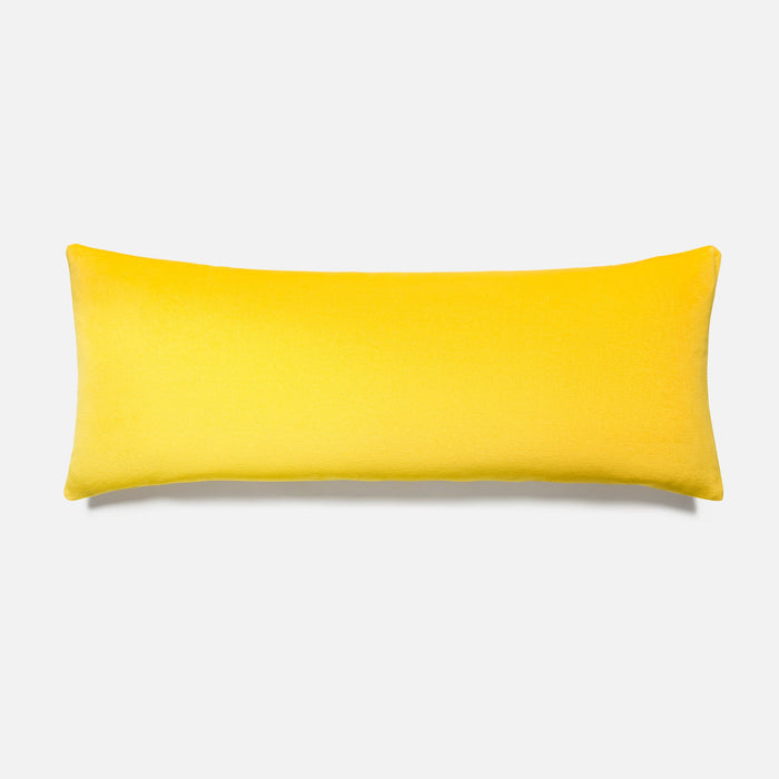 PDP2 Option[Turmeric] MAIN