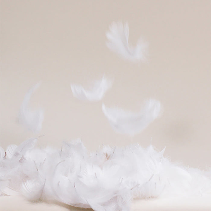 Down Comforter