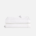 PDP2 Option[White] MAIN