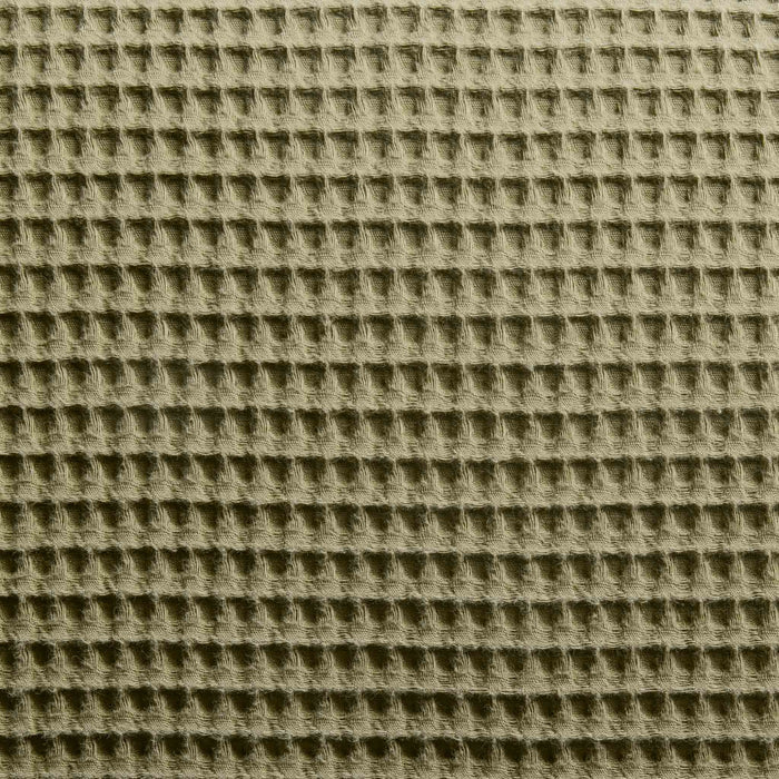 PDP2 Option[Fresh Moss] DETAIL