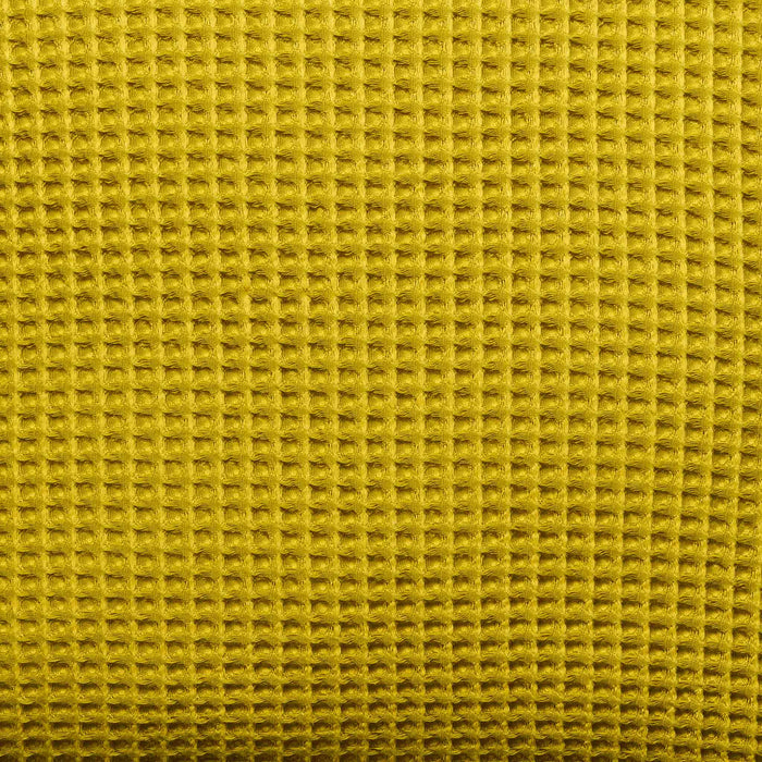 PDP2 Option[Limoncello Two Tone] DETAIL