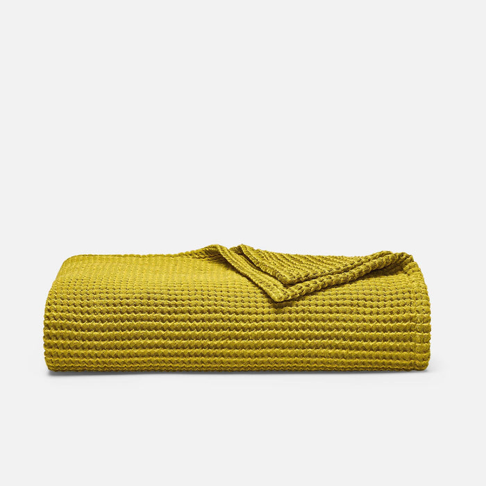 Limoncello Two Tone