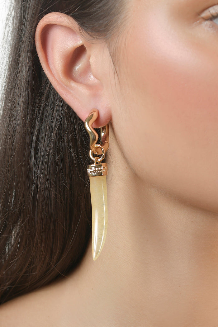 Horn Hoop Earrings