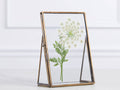 Jules Frame with brass edges stands on a table, encasing a delicate pressed white flower with green leaves. Antique patina finish complements decor.