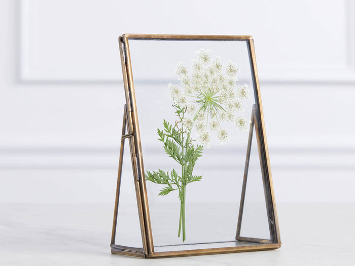 Jules Frame with brass edges stands on a table, encasing a delicate pressed white flower with green leaves. Antique patina finish complements decor.