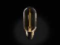 Amber glass LED T14 bulb with visible one-line filament. E26 base, dimmable. Emits warm glow, displayed against dark background.