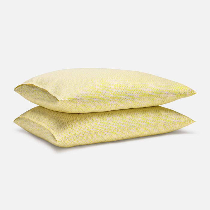 PDP2 Option[Berry Stripe in Pineapple] MAIN