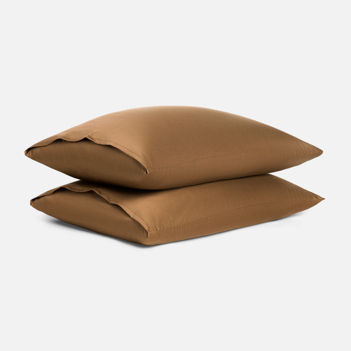 Nutmeg / Standard