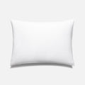 PDP2 Option[White] MAIN