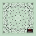 NT4414 Bandana Paisley Mint