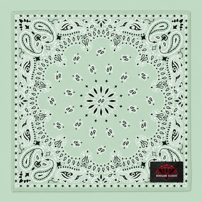 NT4414 Bandana Paisley Mint