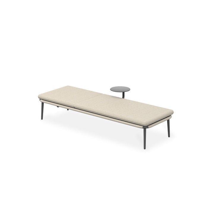 Outdoor Chaise Lounge Chair with Cushion