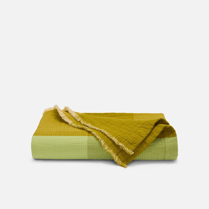 Lime Pop