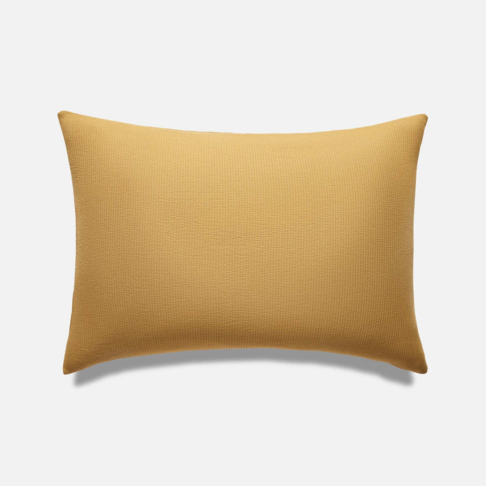 Umber / Standard