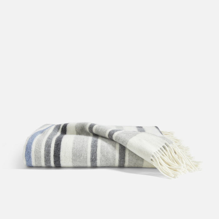 PDP2 Option[Blue Stripe] MAIN