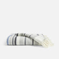 PDP2 Option[Blue Stripe] MAIN