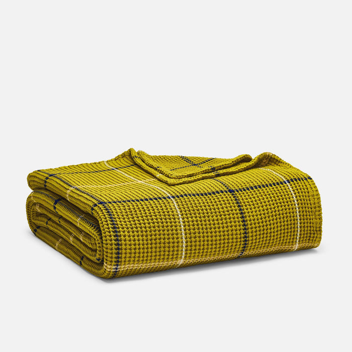 Avocado Windowpane / Twin/Twin XL