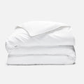 PDP2 Option[White] MAIN