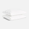 PDP2 Option[White] MAIN