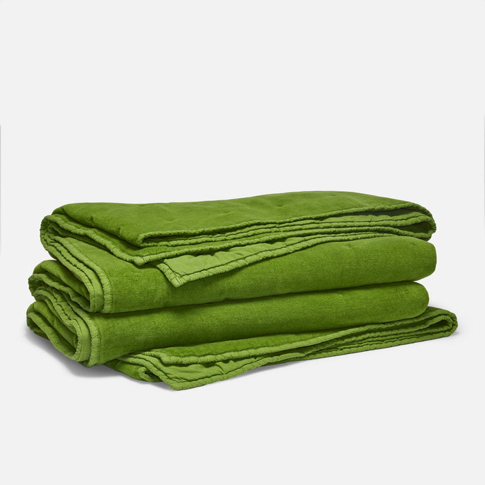 PDP2 Option[Algae] MAIN
