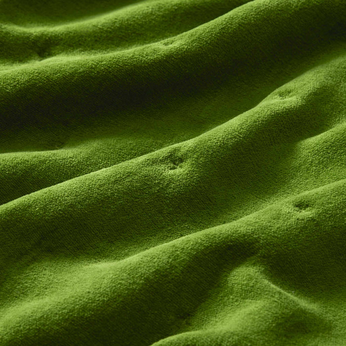PDP2 Option[Algae] DETAIL