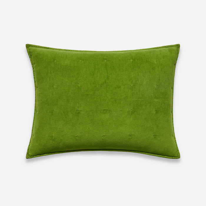 PDP2 Option[Algae] MAIN
