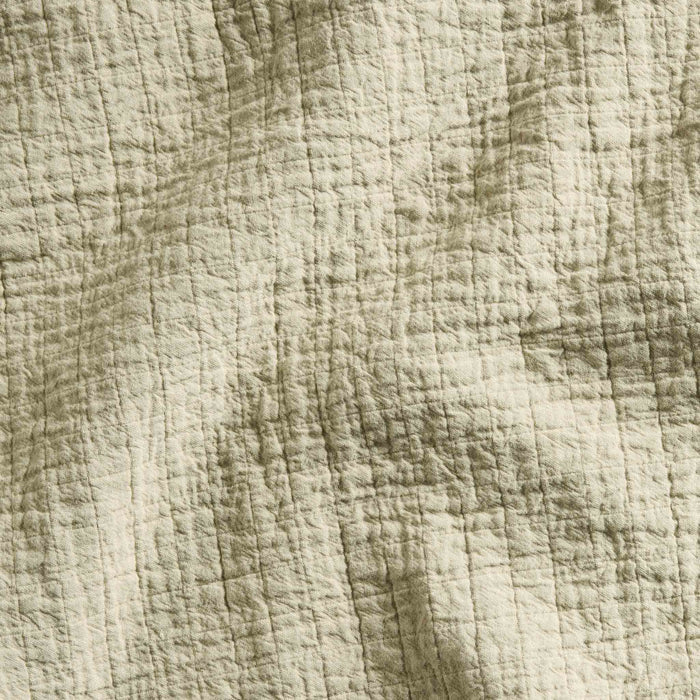PDP2 Option[Dried Moss] DETAIL