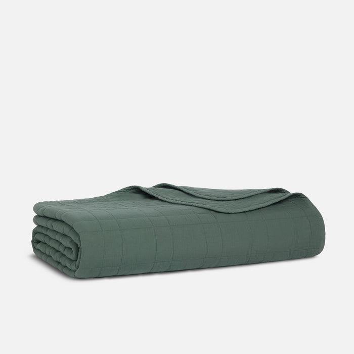 PDP2 Option[Botanical Green] MAIN