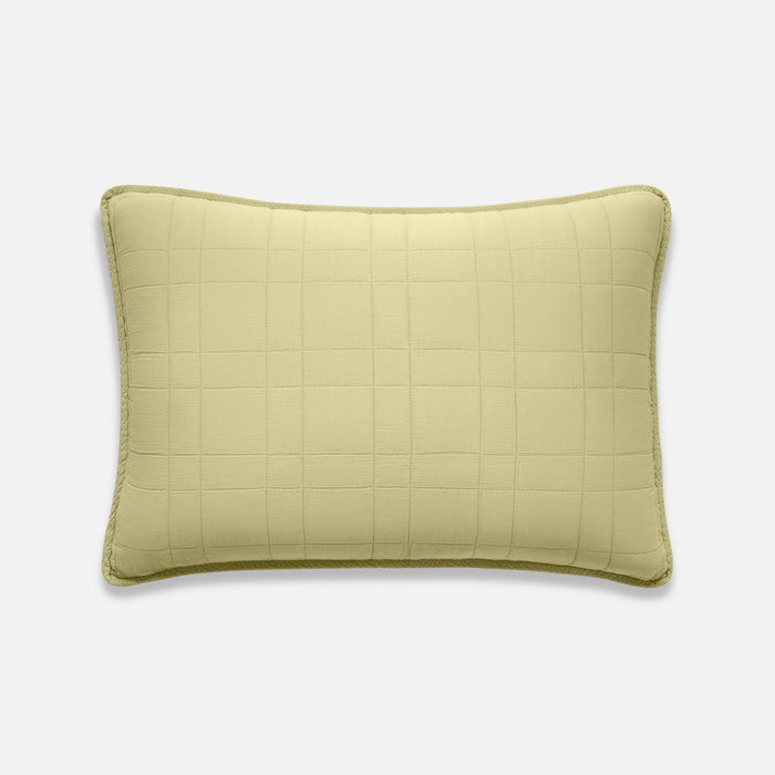 Pistachio / Standard