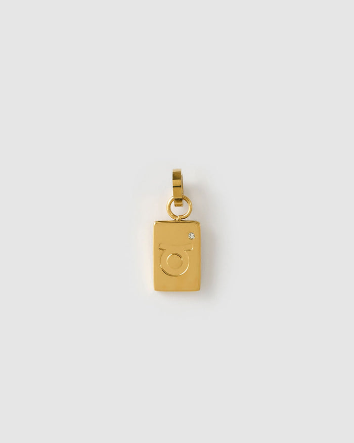 Zodiac Tag Charm